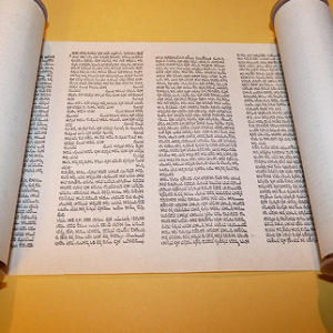 Torah scrolls
