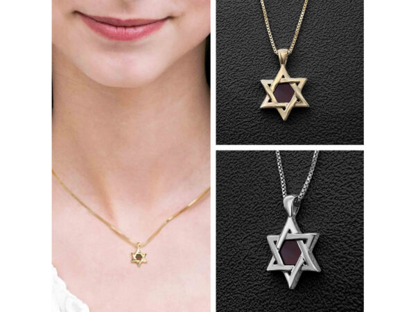 Sterling Silver Whole Nano Bible (Tanach) Star of David Pendant Nano Jewelry - Image 13