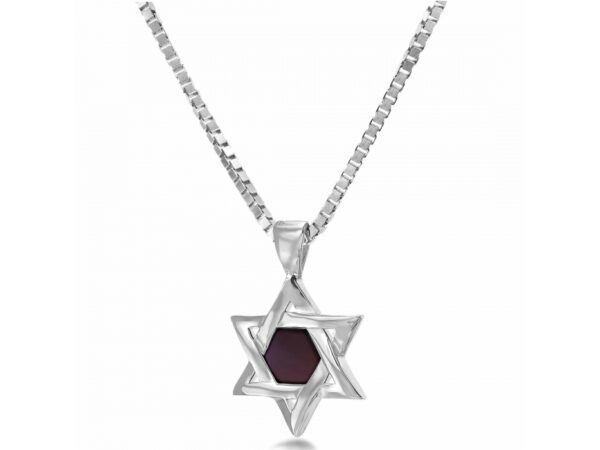 Sterling Silver Whole Nano Bible (Tanach) Star of David Pendant Nano Jewelry - Image 7