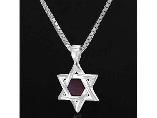 Sterling Silver Whole Nano Bible (Tanach) Star of David Pendant Nano Jewelry - Image 8