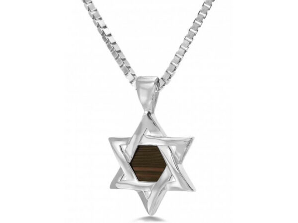 Sterling Silver Whole Nano Bible (Tanach) Star of David Pendant Nano Jewelry
