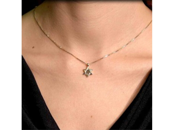 Sterling Silver Whole Nano Bible (Tanach) Star of David Pendant Nano Jewelry - Image 16
