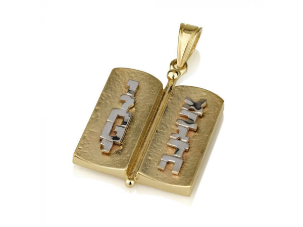 14k White and Yellow Gold Ten Commandments Necklace