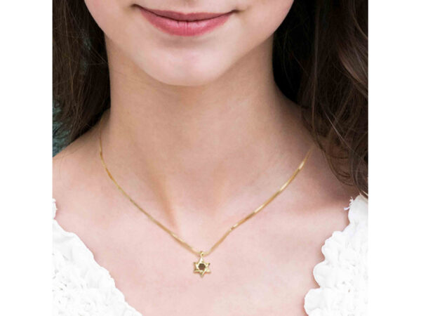 Gold Plated Whole Nano Bible (Tanach) Star of David Pendant Nano Jewelry - Image 10