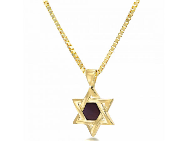 Gold Plated Whole Nano Bible (Tanach) Star of David Pendant Nano Jewelry - Image 12