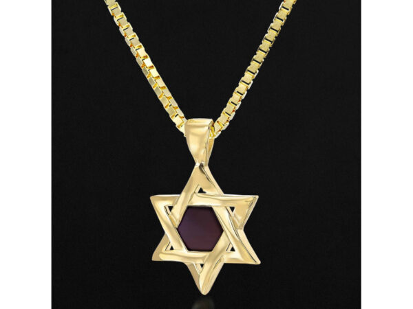 Gold Plated Whole Nano Bible (Tanach) Star of David Pendant Nano Jewelry - Image 11