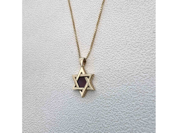 Gold Plated Whole Nano Bible (Tanach) Star of David Pendant Nano Jewelry - Image 13
