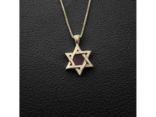 Gold Plated Whole Nano Bible (Tanach) Star of David Pendant Nano Jewelry - Image 14