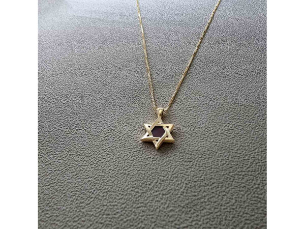 Gold Plated Whole Nano Bible (Tanach) Star of David Pendant Nano Jewelry - Image 15