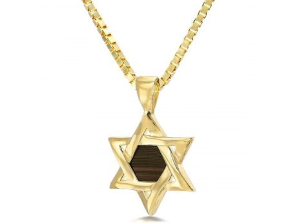Gold Plated Whole Nano Bible (Tanach) Star of David Pendant Nano Jewelry