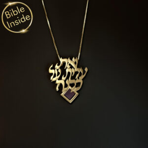 14K Gold Nano Bible (Tanach) Woman Of Valor Pendant Nano Jewelry