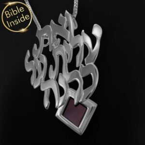 Free Delivery Sterling Silver Nano Bible (Tanach) Woman Of Valor Pendant Nano Jewelry