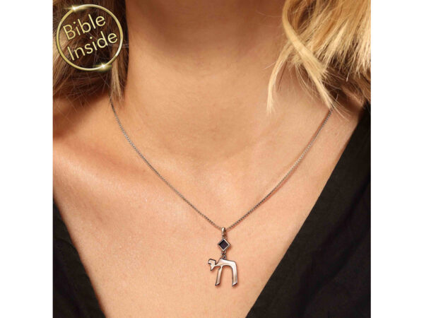 Sterling Silver Whole Nano Bible (Tanach) Chai Pendant Nano Jewelry - Image 10