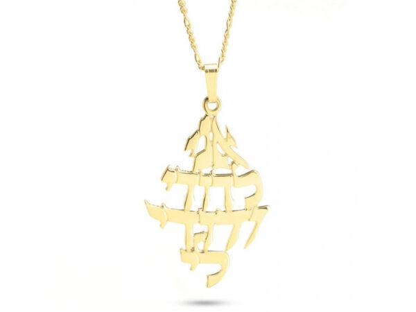 Free Delivery FREE Express Shipping 14K Gold Ani Ledodi Vdodi Li Necklace