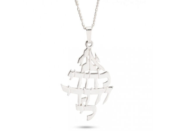 Free Delivery FREE Express Shipping 14K Gold Ani Ledodi Vdodi Li Necklace - Image 3