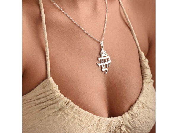 Free Delivery FREE Express Shipping 14K Gold Ani Ledodi Vdodi Li Necklace - Image 2