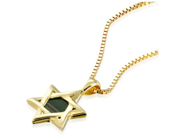 Gold Plated Whole Nano Bible (Tanach) Star of David Pendant Nano Jewelry - Image 2